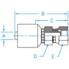 Female British Pipe Straight - F-BSPX-24-24-W